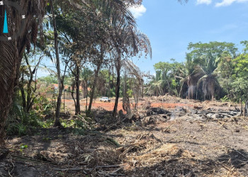 MP apura desmatamento e aterramento ilegais em área do Riacho Itararé, em Teresina