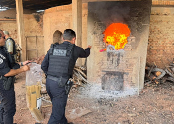 Uma tonelada de drogas apreendidas no Litoral foram destruídas pela polícia