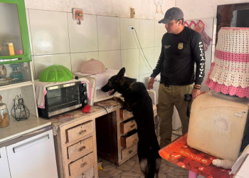 Mulher que assumiu tráfico após prisão do marido é presa com drogas no forro de casa