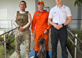 Cão policial treinado para encontrar restos mortais chega à Secretaria de Segurança