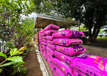 8 toneladas de ração são entregues a 500 protetores de animais no Piauí