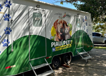 Castramóvel realiza 50 castrações de animais em Teresina
