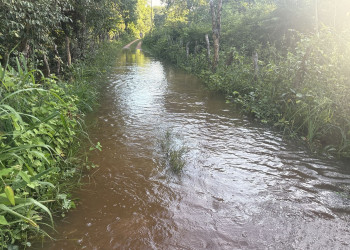 Rio Gurguéia deve baixar até sábado, mas alerta continua em Cristino Castro; veja vídeos