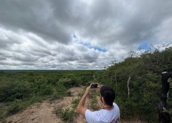 Piauí tem uma das maiores áreas de desmatamento ilegal na Operação Caatinga Resiste