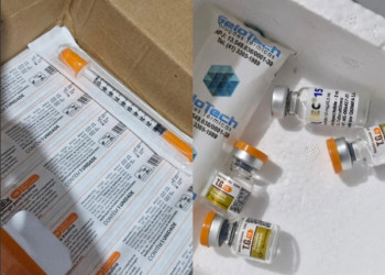 Mulher é presa por venda ilegal de 