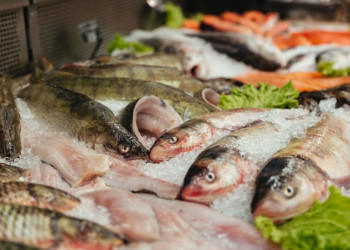 Cuidados ao consumir pescados vão além da intoxicação e incluem risco de alergias