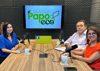 Curso gratuito ensina a cuidar de abelhas e alerta para risco de desaparecimento