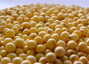 Brasil pode encerrar 2018 com recorde na exportação de soja