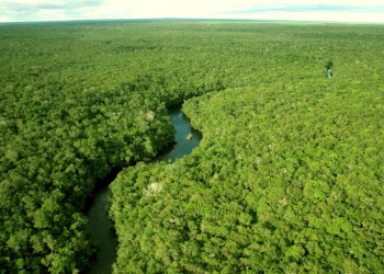 BNDES e Ibama assinam contrato para fiscalização na Amazônia