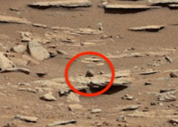 Nasa encontra 'marmota' na superfície de Marte