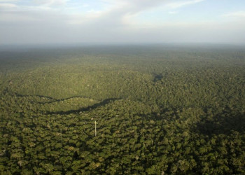 Desmatamento da Amazônia cresce, em um ano, cinco cidades de SP