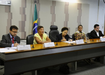 Projeto de aproveitamento do Babaçu é apresentado em Brasília