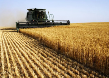 InVivo mira acordos no Brasil para ampliar trading de grãos
