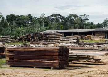 Amazônia ameaçada: onde mais se desmata no Brasil