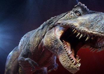 Restos de dinossauros de 145 milhões de anos são encontrados na China
