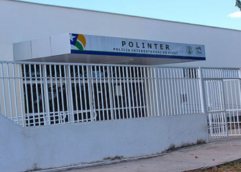 Roubo e estupro de vulnerável correspondem a 56% dos mandados de prisão no Piauí