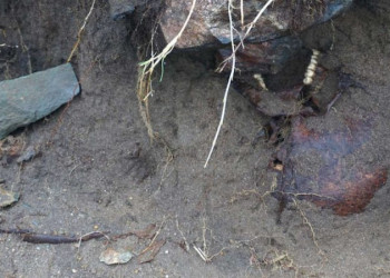 Irlanda: Furacão Ophelia desenterra esqueleto antigo ainda com pele