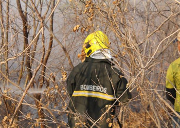 Piauí está em emergência ambiental por riscos de incêndios florestais