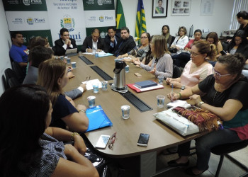 Ministério Público e Sejus debatem visitas de crianças e adolescentes em presídios do Piauí