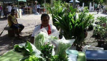 Temos potencialidade para uma politica de Turismo Rural em Teresina