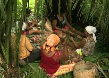 Projeto reconhece atividades de coleta e quebra de coco como patrimônio cultural