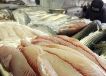 Ministério determina suspensão da exportação de pescado para a UE