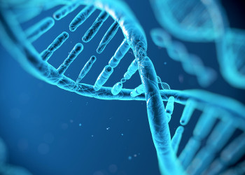 Testes de DNA revelam descendentes dos povos bíblicos
