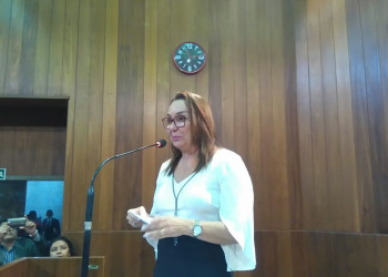 Assembleia Legislativa debate o empreendedorismo feminino no Piauí