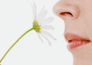 Perda de olfato pode indicar que a sua saúde não vai bem