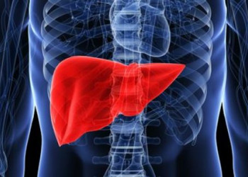 Conheça 10 formas de melhorar a saúde do fígado