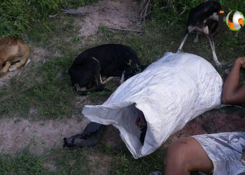 Caçador é encontrado morto com facada no pescoço no interior do Piauí