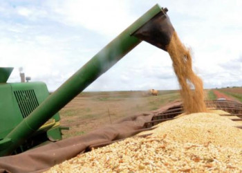 Produção de grãos no Piauí deve crescer cerca de 10% em 2021, nova marca histórica