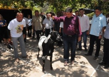 Governador visita Festa do Bode em Batalha e destaca potencial da ovinocaprinocultura