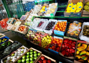 Altas temperaturas elevam as vendas de frutas na Nova Ceasa