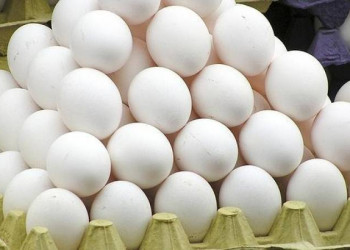 Prefeitura compra unidade do ovo a R$ 12,15