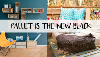 PALLET IS THE NEW BLACK!