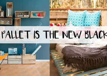 PALLET IS THE NEW BLACK!