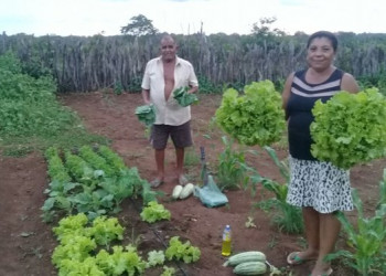 Agricultura familiar ganha força com Programa de Fomento à Irrigação