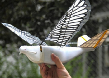 China utiliza drones que parecem pássaros para monitorar população