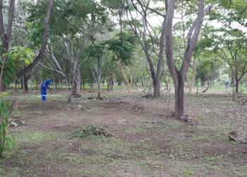SDU Leste intensifica limpeza no Parque Floresta Fóssil
