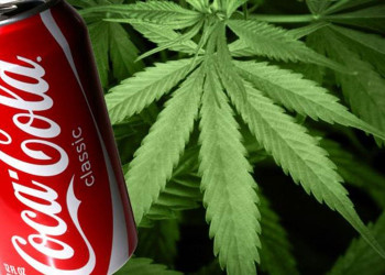 Coca-Cola estuda produzir bebidas à base de Maconha