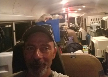Homem usa ônibus para resgatar 64 animais de furacão