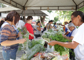 Hortaliças e legumes sem agrotóxicos são comercializados na praça Rio Branco