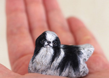 Artista japonesa transforma pedras em animais