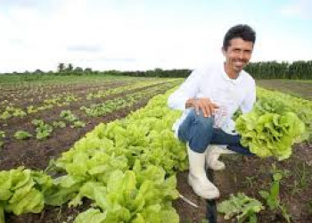 Fundação BB e Prefeitura  lançam projeto de desenvolvimento da agricultura agroecológica