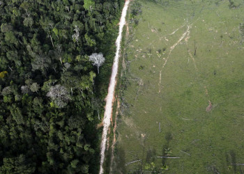 Governo Bolsonaro planeja norma para controlar ação de ONGs na Amazônia