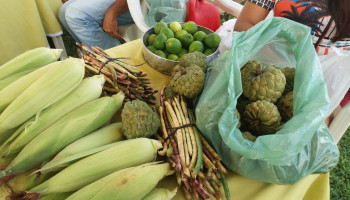 Feira Territorial da Agricultura Familiar e Economia Solidária do Entre Rios