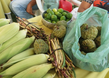 Feira Territorial da Agricultura Familiar e Economia Solidária  do Entre Rios