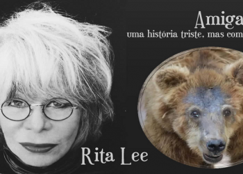 Rita Lee vai lançar livro com história de ursa que viveu em Teresina