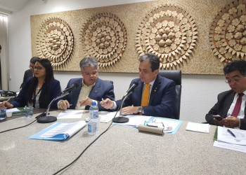 Comissão vai acompanhar combate à peste suína no Piauí